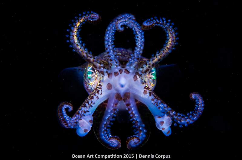 Illustration for article titled These Photos Show the Alien Beauty of Life Underwater